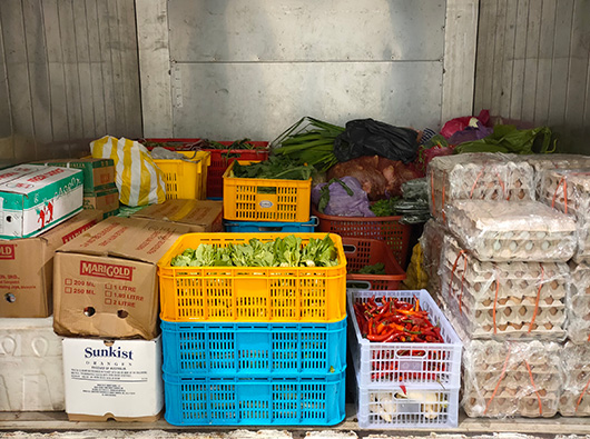 Food Provision Supply Services